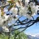 Frühling