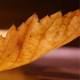 Herbst